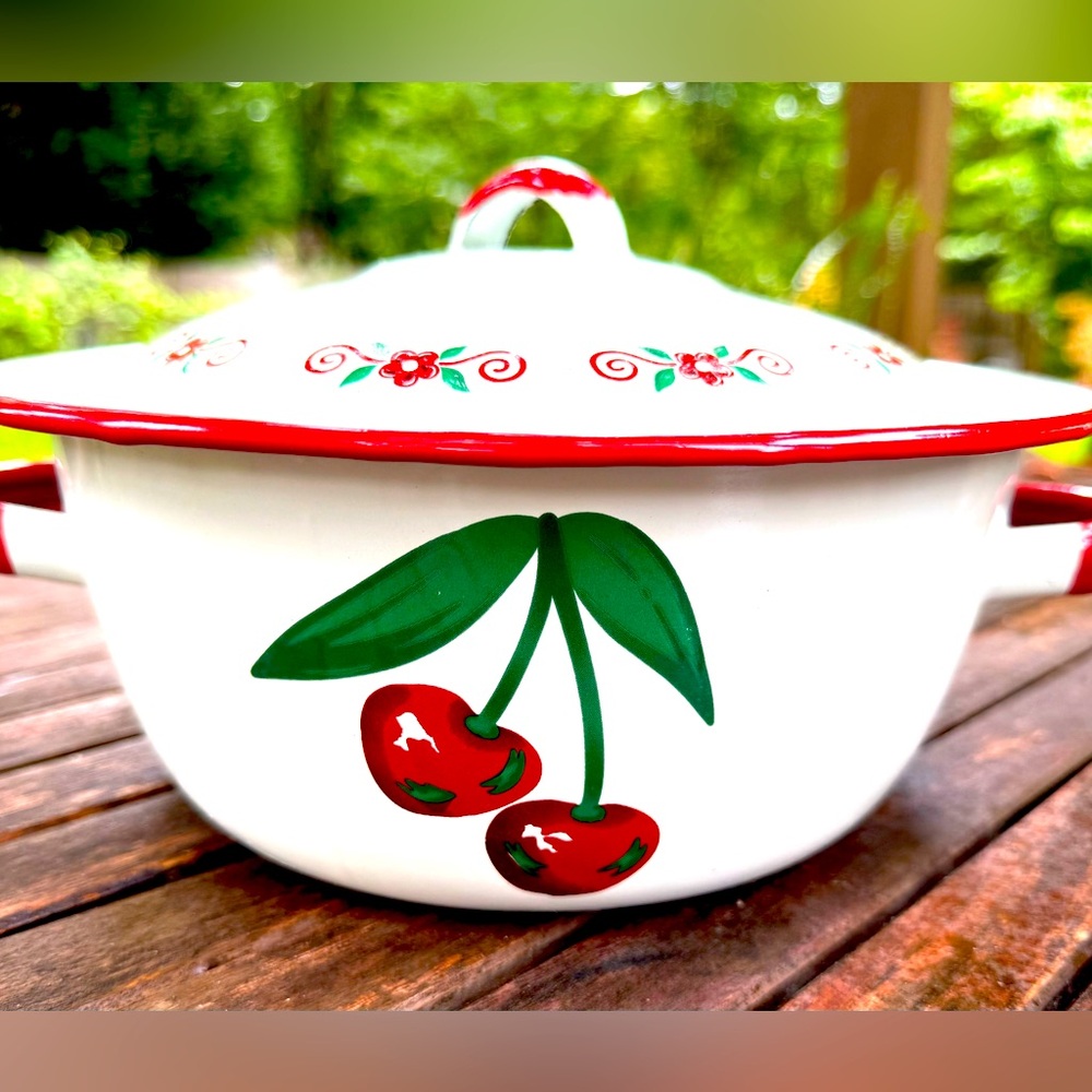Vintage 1960’s Enameled Pot